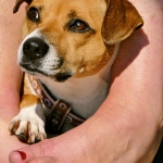 Программы лояльности казино без депозитных требований